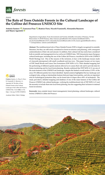 The role of Trees Outside Forests in the cultural landscape of the Colline del Prosecco UNESCO site
