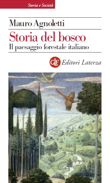 Storia del bosco